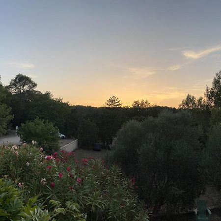 Natur & Jasmin Chambres D'Hotes Naturistes En Provence 洛尔格 外观 照片