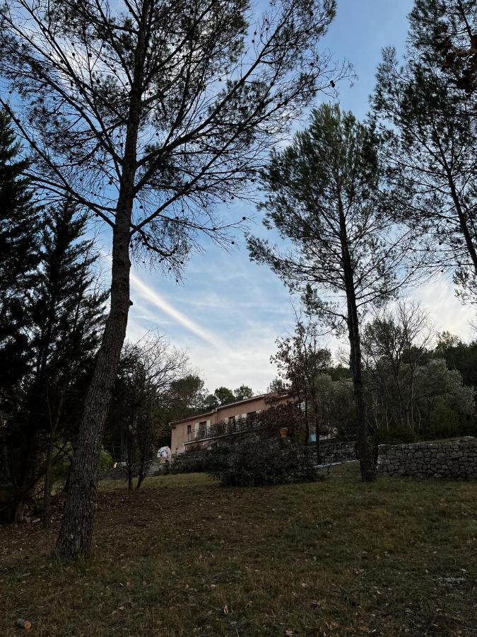Natur & Jasmin Chambres D'Hotes Naturistes En Provence 洛尔格 外观 照片
