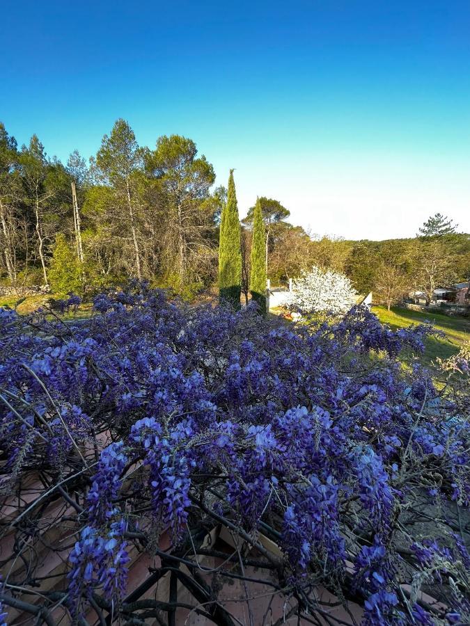 Natur & Jasmin Chambres D'Hotes Naturistes En Provence 洛尔格 外观 照片