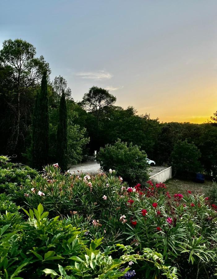 Natur & Jasmin Chambres D'Hotes Naturistes En Provence 洛尔格 外观 照片