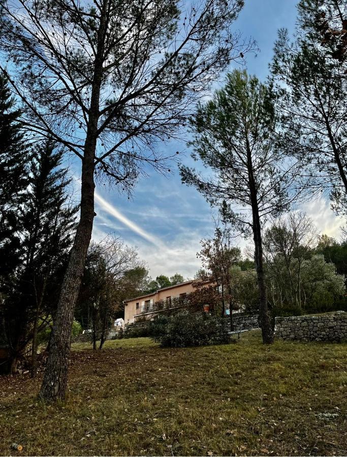 Natur & Jasmin Chambres D'Hotes Naturistes En Provence 洛尔格 外观 照片
