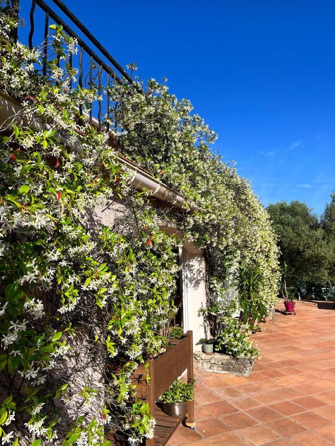Natur & Jasmin Chambres D'Hotes Naturistes En Provence 洛尔格 外观 照片